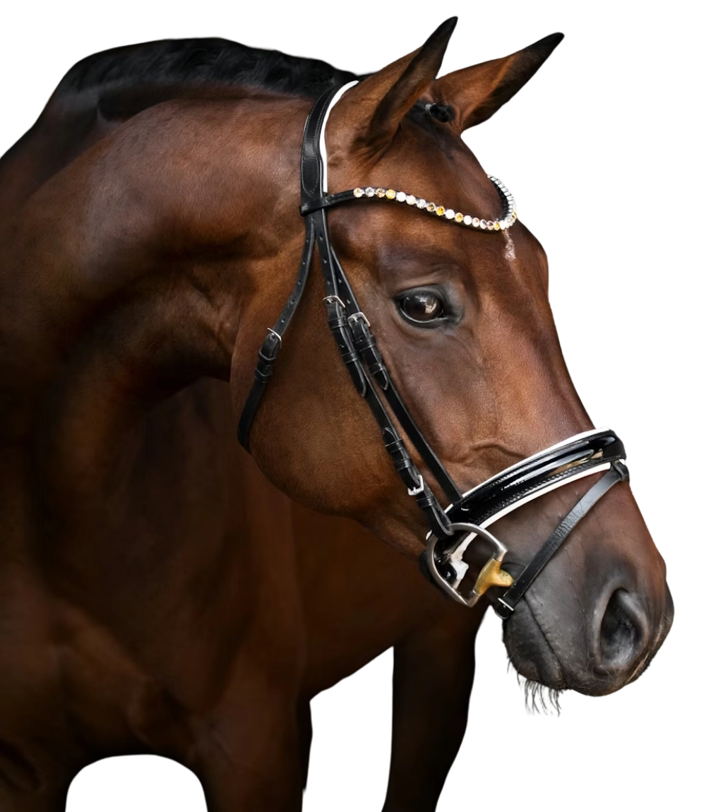 Equines