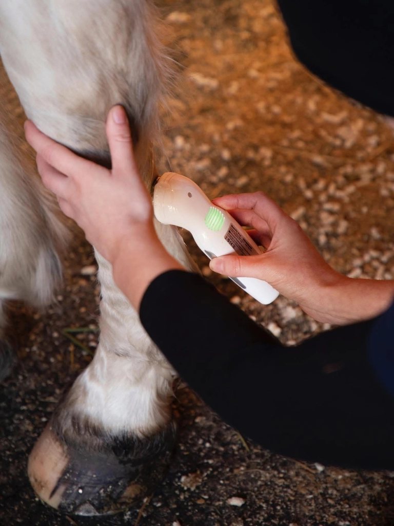 Ultrasound