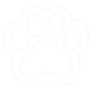 All ages & breeds
